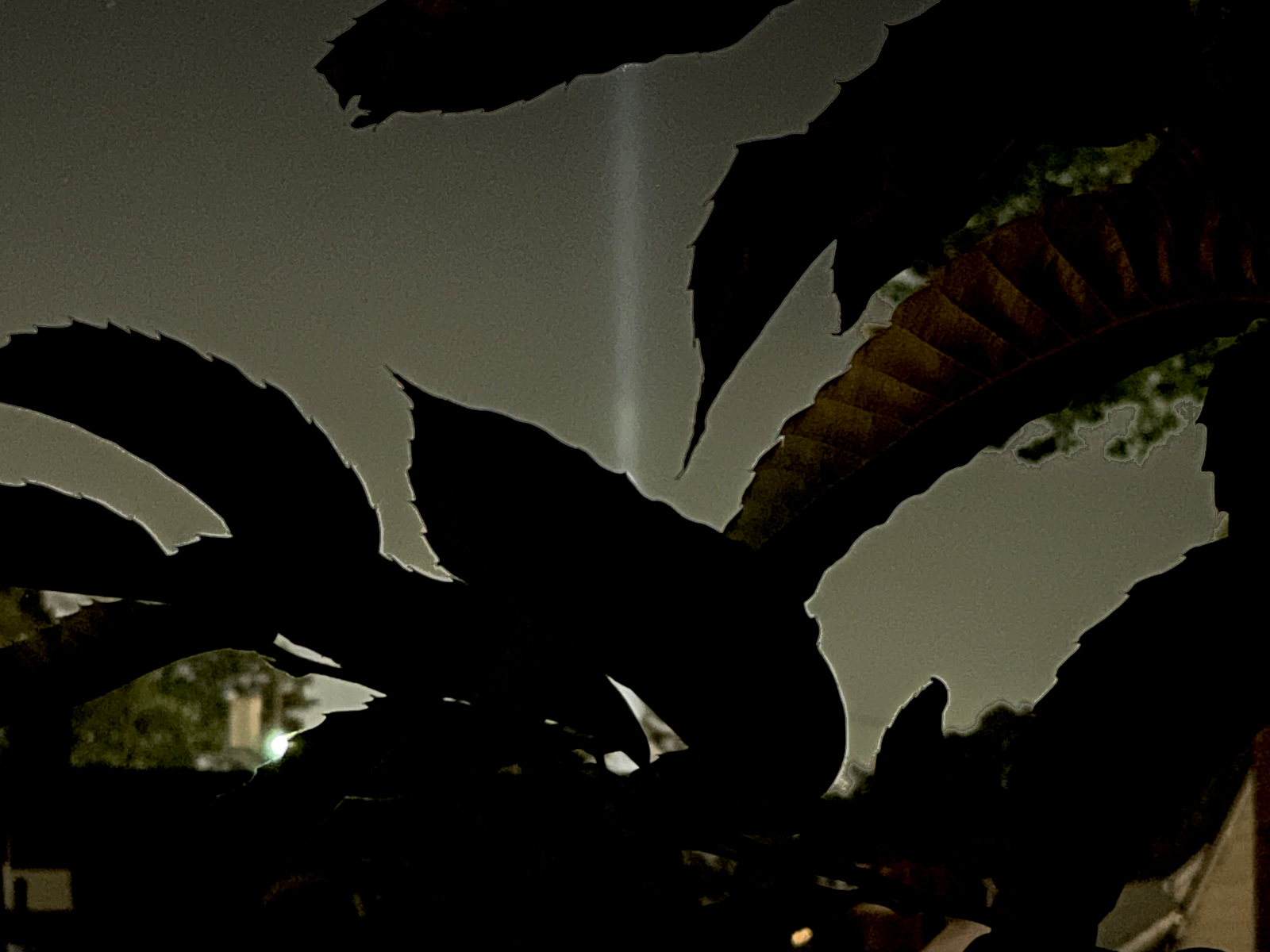 Tribute in Light